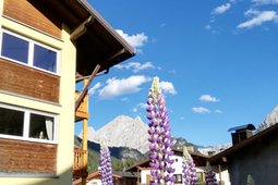 Appartamento Le Dolomiti a Casa Mia
