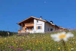 Ferienwohnungen Damont