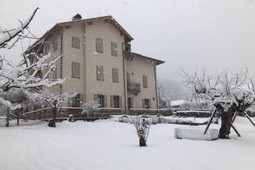 Affittacamere Al Tiglio Di Vissà
