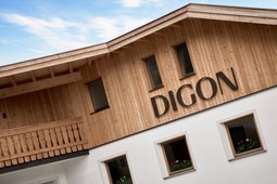 Hotel Digon