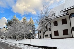 Appartamento Mansarda Tirolese