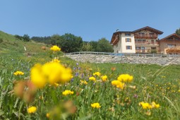 Apartment Cav Mes Vallees