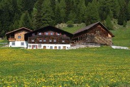 B&B + Ferienwohnungen auf dem Bauernhof Drockerhof