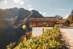 Farmhouse apartments Alm Chalets Hochgruberhof