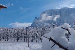 Ferienwohnungen auf dem Bauernhof Neuhuberhof
