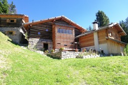 Alpenchalet Waldl