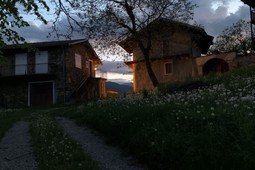 Alte Terre Lab & Room