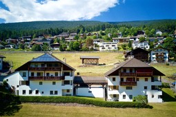 Dolomites Chalet Niuasi