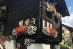 Bed & Breakfast Hirsch 1609