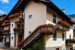 Apartment Abete Bianco