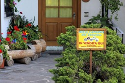 Shop Beekeeping Sardagna Ester