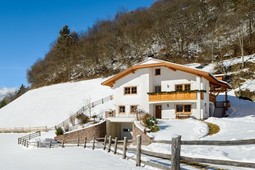 Schönau Bio & Spa Family Apartments