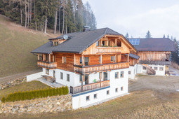 Farmhouse apartments Brunnerhof