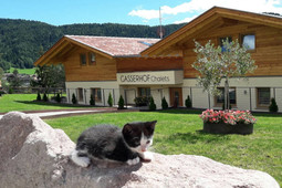B&B in agriturismo Gasserhof