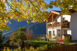 Ferienwohnungen auf dem Bauernhof Prünsterhof