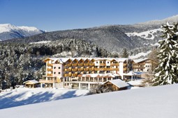 Hotel Chalet Tianes