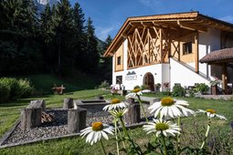 Ferienwohnungen auf dem Bauernhof Pitzelterhof
