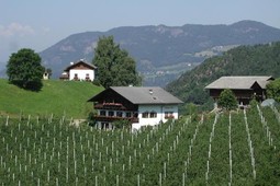 Ferienwohnungen auf dem Bauernhof Biolandhof Hanig