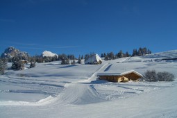 Holiday House Chalet Seiseralm