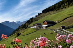 Pensione + Residence Roanerhof