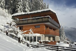 Apart-chalet Talblick