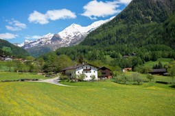 Ferienwohnungen auf dem Bauernhof Obergruberhof