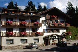 Albergo De Fronz