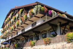 Belvedere Dolomites Flower Hotel