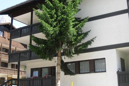 Apartment Valentini Maurizio