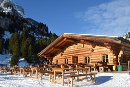 Mountain hut Vallongia