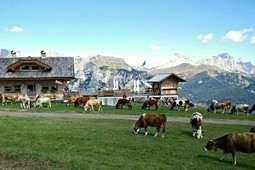 La Ciasela Berg Restaurant