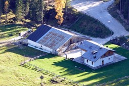 Alm Peziè de Parù