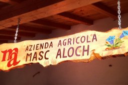 Alpine farm Aloch