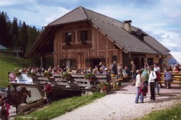 Alpine farm Epircher Laner