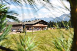 Alm Auerleger / Malga Ora