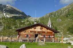 Alpine farm Gögealm