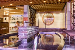 Swimming Pool and Wellness Cron 4