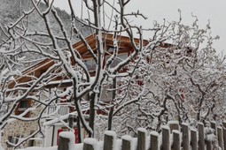 Bed & Breakfast Maso Franceschella