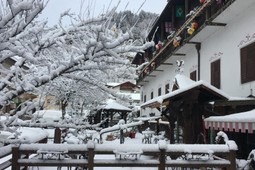 Hotel Ancora & Suites