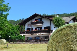 B&B (Garni)-Hotel Edy