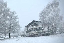 Garni-Hotel Edy