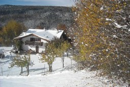 Bed & Breakfast Profumi nel Bosco