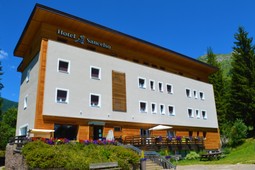 Park Hotel Sancelso