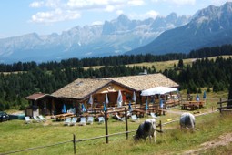 Malga Varena
