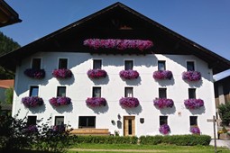 Ferienwohnungen auf dem Bauernhof Saxlhof