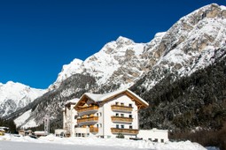 Hotel Alpin