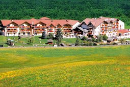 Alphotel Tyrol & Chalets Mons Silva