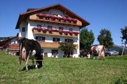 Apartments Rosenheim