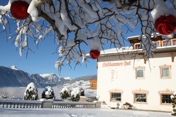 Hotel Nussbaumerhof