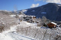 Pensione Zummüllerhof